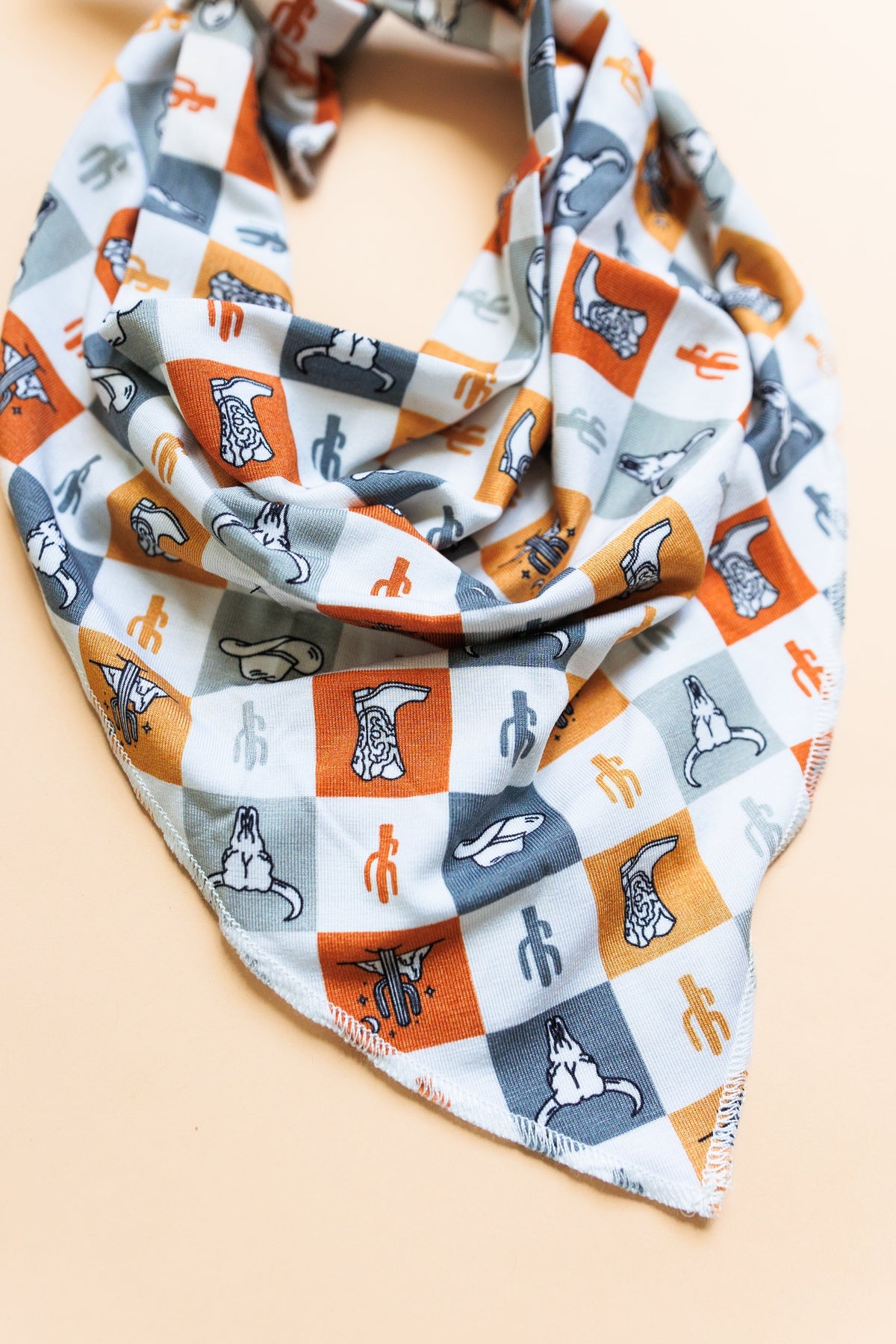 DREAM BIG LITTLE CO WILD WEST CHECKERS DREAM DOG BANDANAEveretts Place