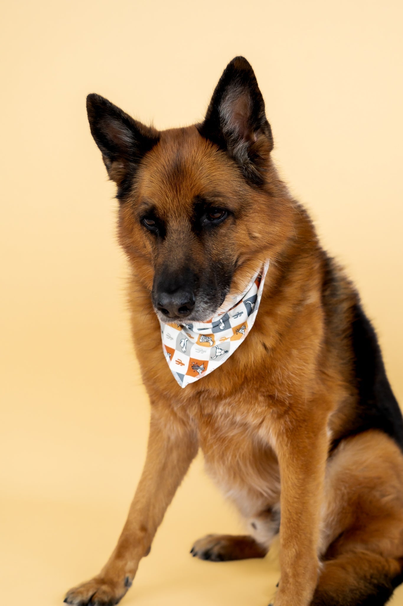 DREAM BIG LITTLE CO WILD WEST CHECKERS DREAM DOG BANDANAEveretts Place