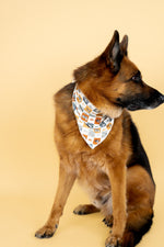 DREAM BIG LITTLE CO WILD WEST CHECKERS DREAM DOG BANDANAEveretts Place
