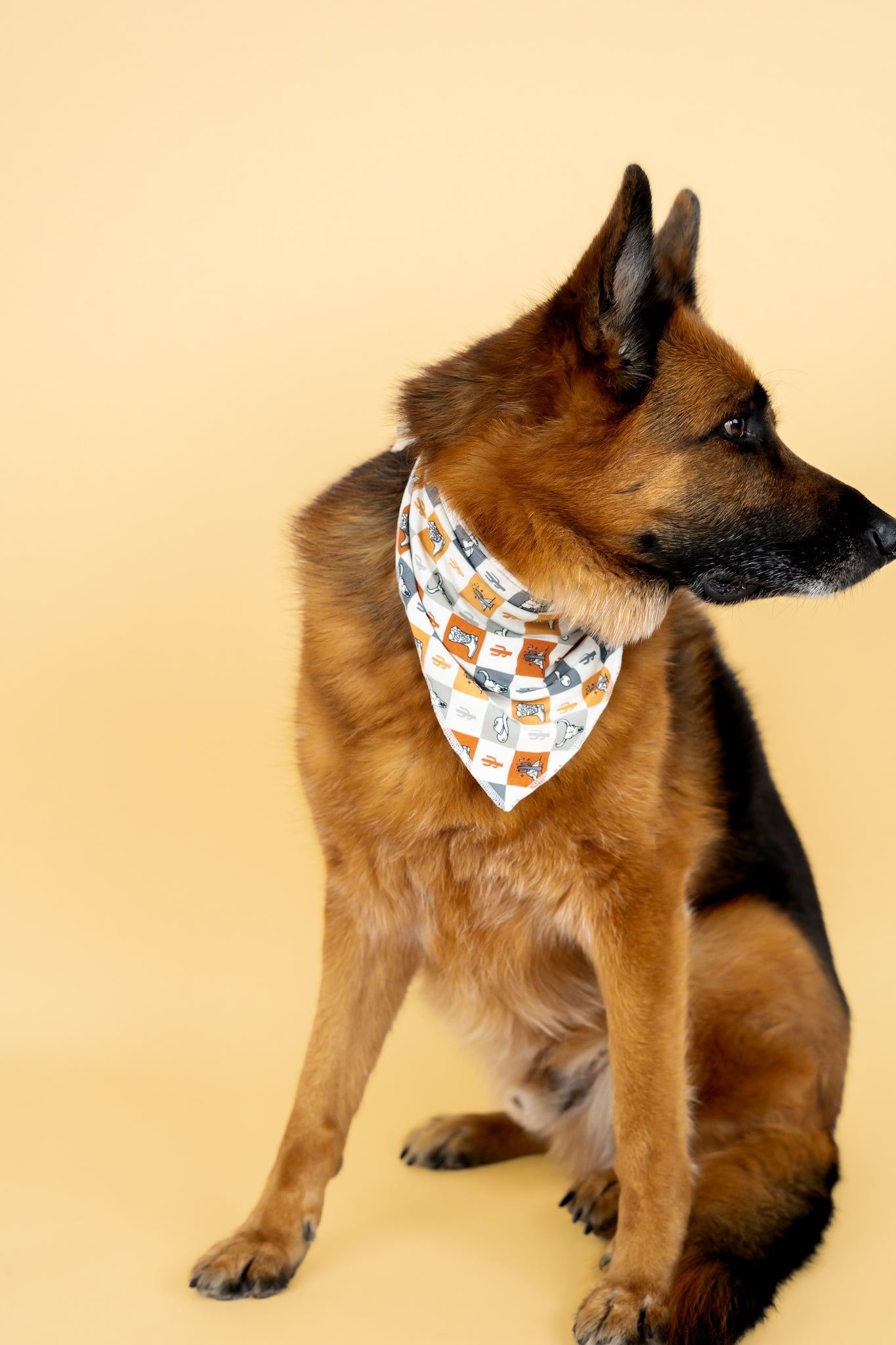 DREAM BIG LITTLE CO WILD WEST CHECKERS DREAM DOG BANDANAEveretts Place