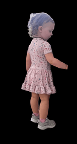 Dragonfly Dreams Bamboo Wildflower Garden Short Sleeve Twirl Dress with Bodysuit