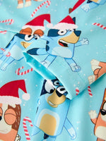 Rylee Faith Designs Winter Christmas Character Print Blue Girls Long Sleeve Dress - Everetts Place Boutique - 