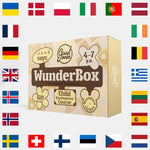 Goodevas WunderBox Developmental Gift Set for Kids Aged 4 to 7 with Educational Toys - Everetts Place Boutique - 